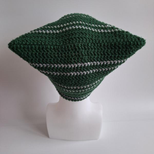 Gehaakte muts | Harry Potter Slytherin/Zwadderich house